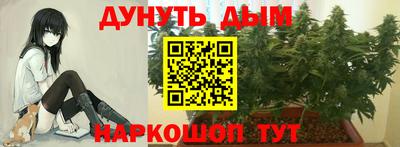 каннабис Будённовск