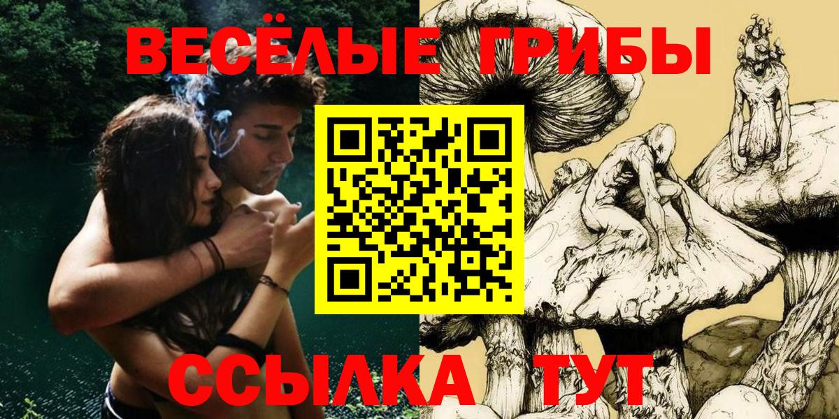 Галлюциногенные грибы Psilocybe  хочу наркоту  Фурманов  Вход с VPN 